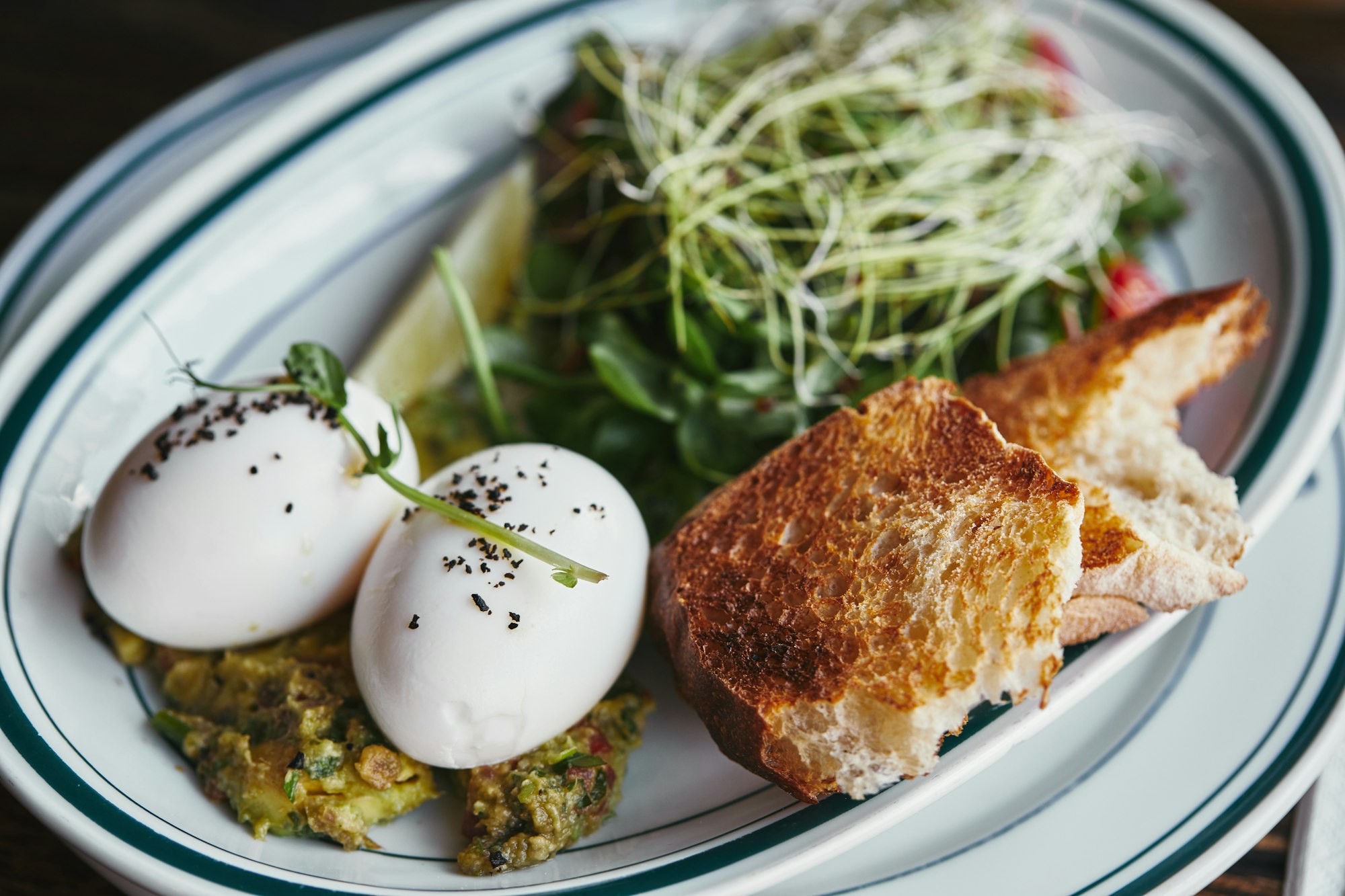 close-up shot of healthy salad with sprouts and eggs